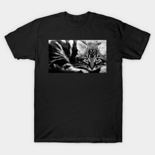 bright eyes T-Shirt